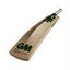 Gunn & Moore Zelos DXM L E Academy Cricket Bat