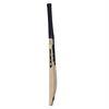 Gunn & Moore Noir DXM L E Cricket Bat