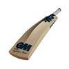 Gunn & Moore Neon DXM L E Cricket Bat