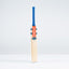 Gray-Nicolls Havoc 1.0 Power Adult Cricket Bat - Size: Short Handle