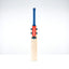 Gray-Nicolls Havoc 1.0 Pro Edition NEOCORE Adult Player Cricket Bat - Size: Short Handle