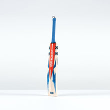 Gray-Nicolls Havoc 1.0 Test Junior Cricket Bat - Size: Harrow