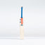 Gray-Nicolls Havoc 1.0 Pro Edition Adult Cricket Bat - Size: Short Handle