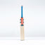 Gray-Nicolls Havoc 1.0 Blast Adult Cricket Bat - Size: Short Handle