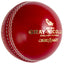 Gray-Nicolls Crest Elite Cricket Ball - Size: 135g - Red