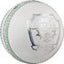 Gray-Nicolls Crest Legend Cricket Ball - Size: 156g - White
