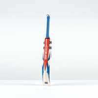 Gray-Nicolls Havoc 1.0 Test Junior Cricket Bat - Size: Harrow