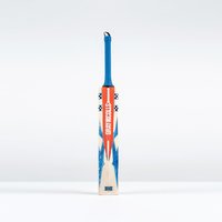 Gray-Nicolls Havoc 1.0 Pro Junior Cricket Bat - Size: Harrow