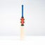 Gray-Nicolls Havoc 1.0 Players Edition Adult Cricket Bat - Size: Short Handle