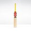 Gray-Nicolls Havoc HB317 GN550 Adult Cricket Bat - Size: Short Handle - Yellow