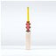 Gray-Nicolls Havoc HB317 Pro Edition Adult Cricket Bat - Size: Short Handle - Yellow