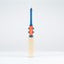 Gray-Nicolls Havoc 1.0 GN450 Adult Cricket Bat - Size: Short Handle