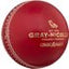 Gray-Nicolls Crown 5 Star Cricket Ball - White