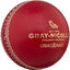 Gray-Nicolls Crown 5 Star Cricket Ball - White
