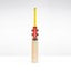 Gray-Nicolls Havoc HB317 GN550 Junior Cricket Bat - Size: Harrow - Yellow
