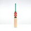 Gray-Nicolls GEM 3.0 Power Junior Cricket Bat - Size: 4
