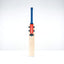 Gray-Nicolls Havoc 1.0 Pro Edition NEOCORE Adult Player Cricket Bat - Size: Short Handle