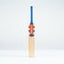 Gray-Nicolls Havoc 1.0 Power Infant Cricket Bat