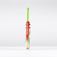 Gray-Nicolls Havoc 1.3 GN550 Junior Cricket Bat - Size: 6