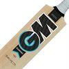 Gunn & Moore Diamond 101 Kashmir Willow Junior Cricket Bat