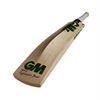 Gunn & Moore Zelos DXM Signature Cricket Bat